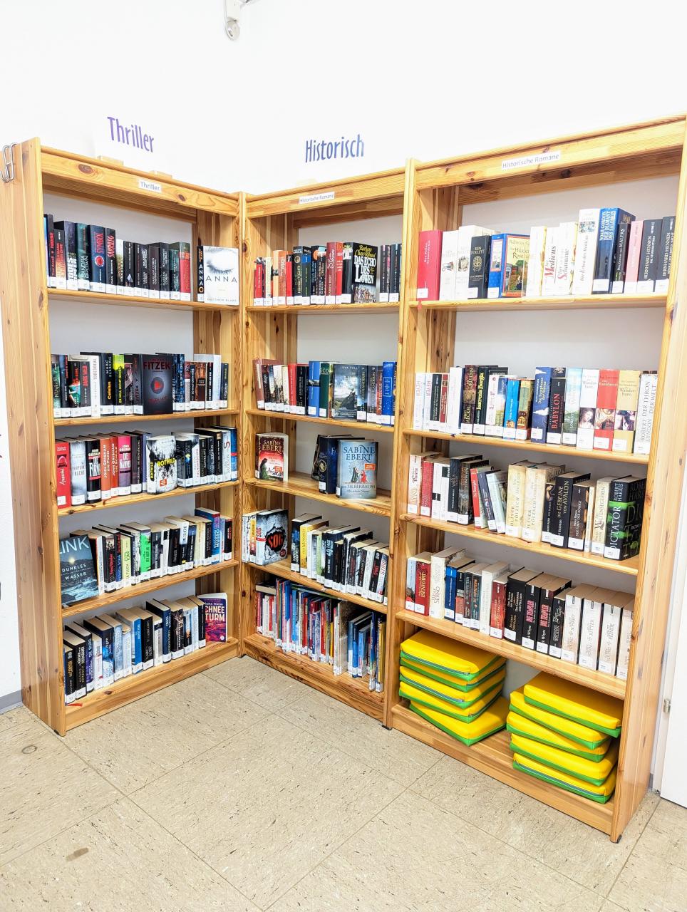 Buchregal mit Thriller