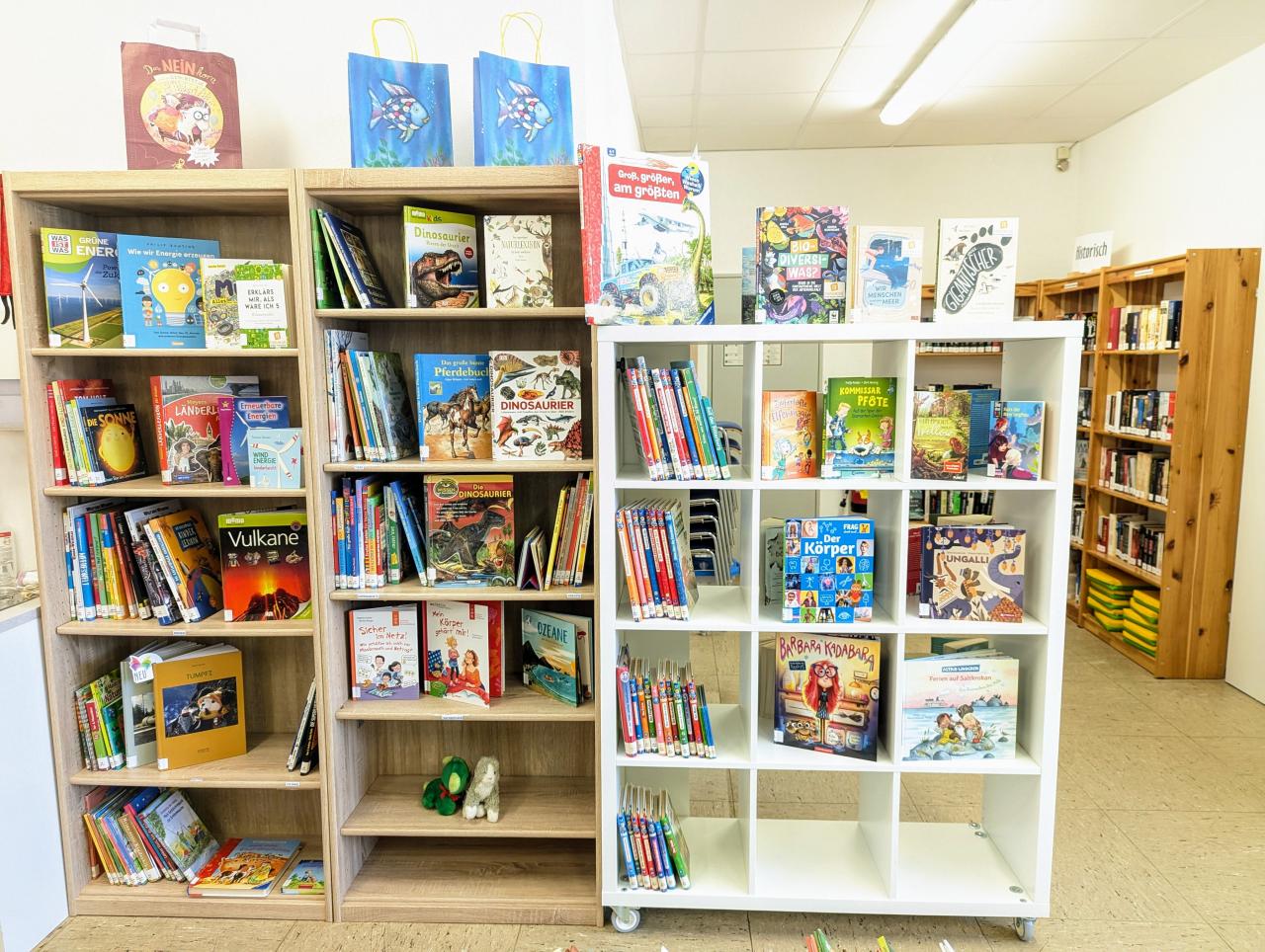 Buchregal mit Kinderbücher