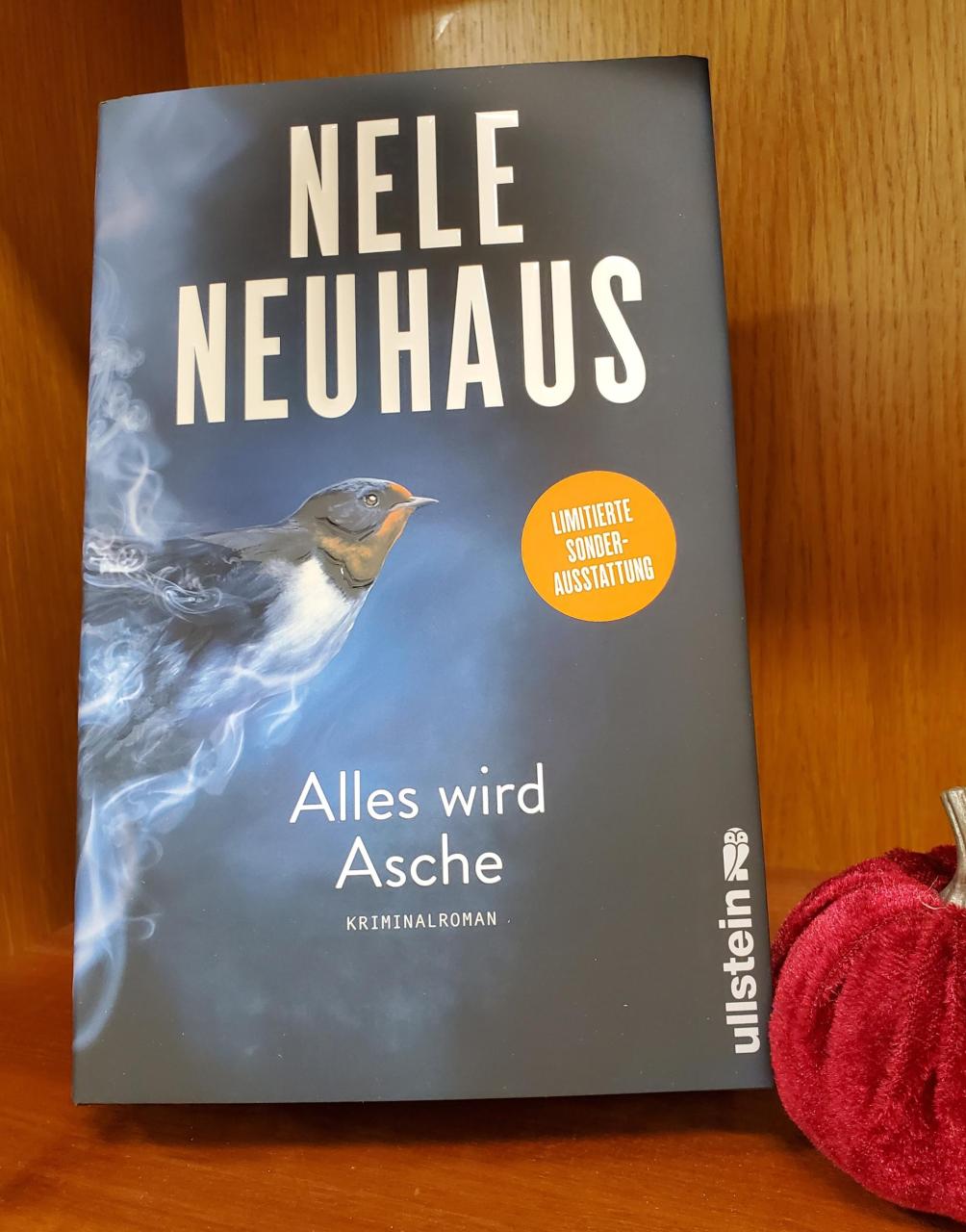 Buchcover dunkel