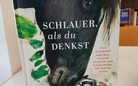 Kinderbuch