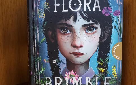 Buch im Regal